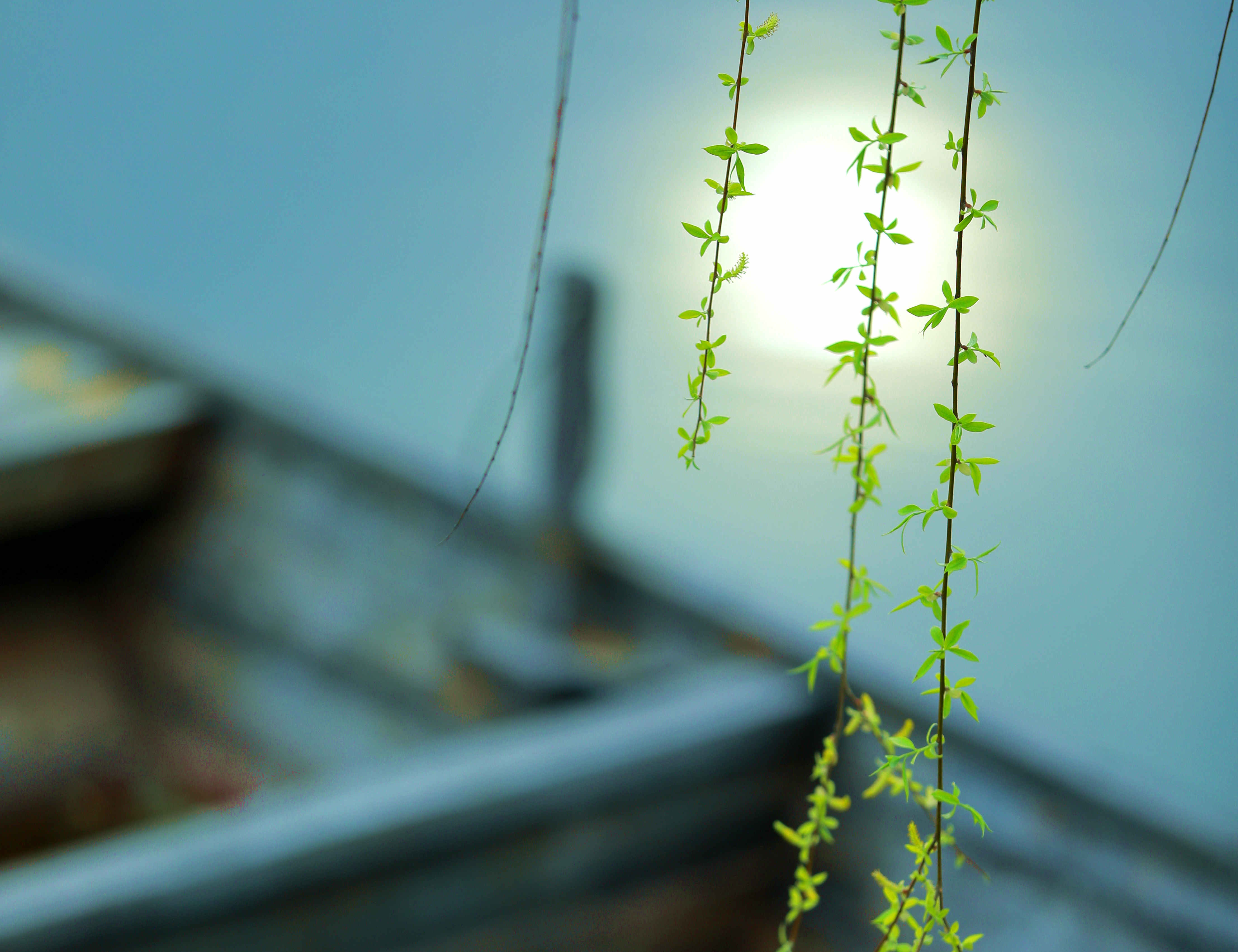 1648379374311559.jpg 1648379374311559.jpg