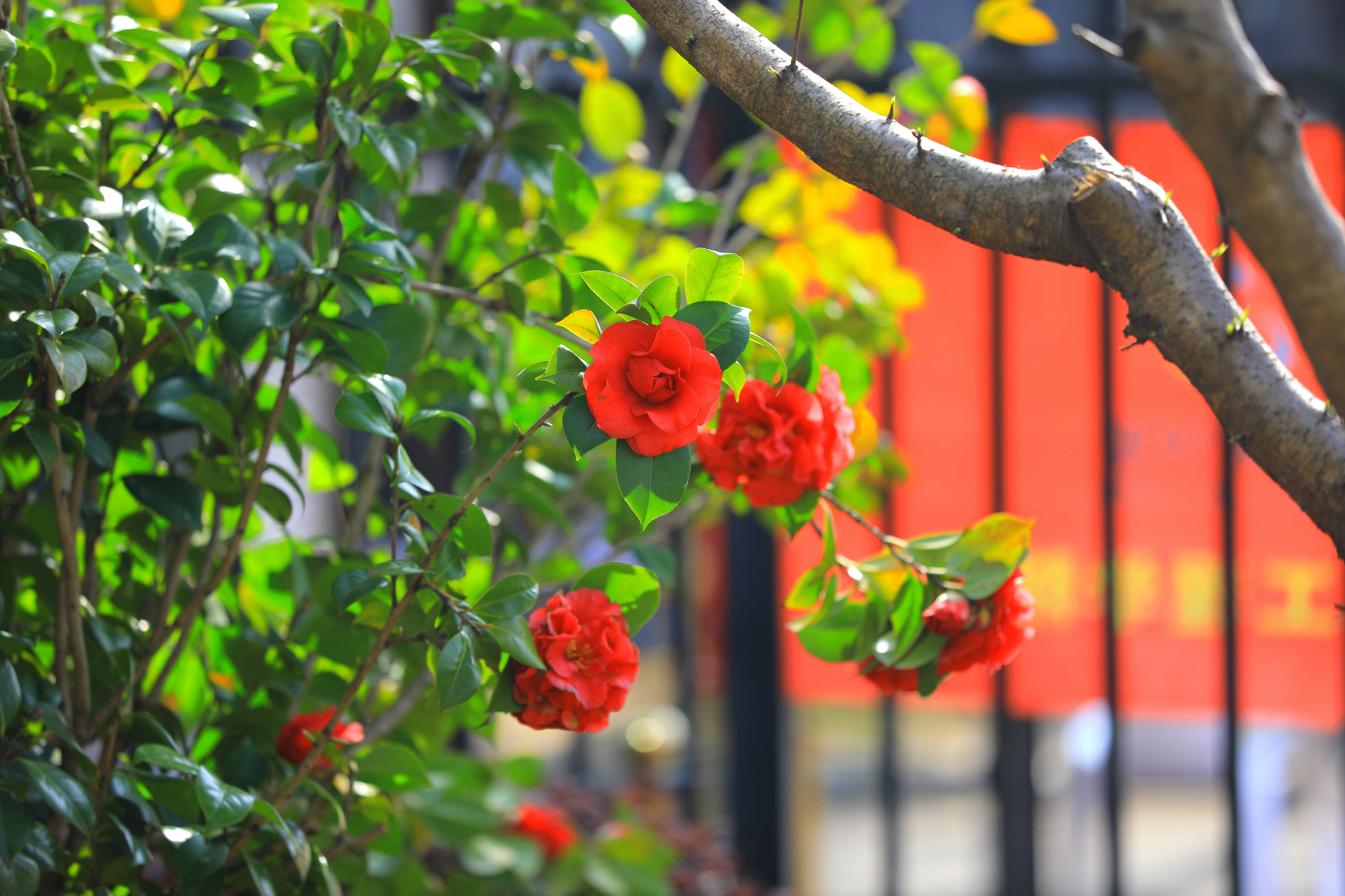 1648378960204168.jpg 1648378960204168.jpg