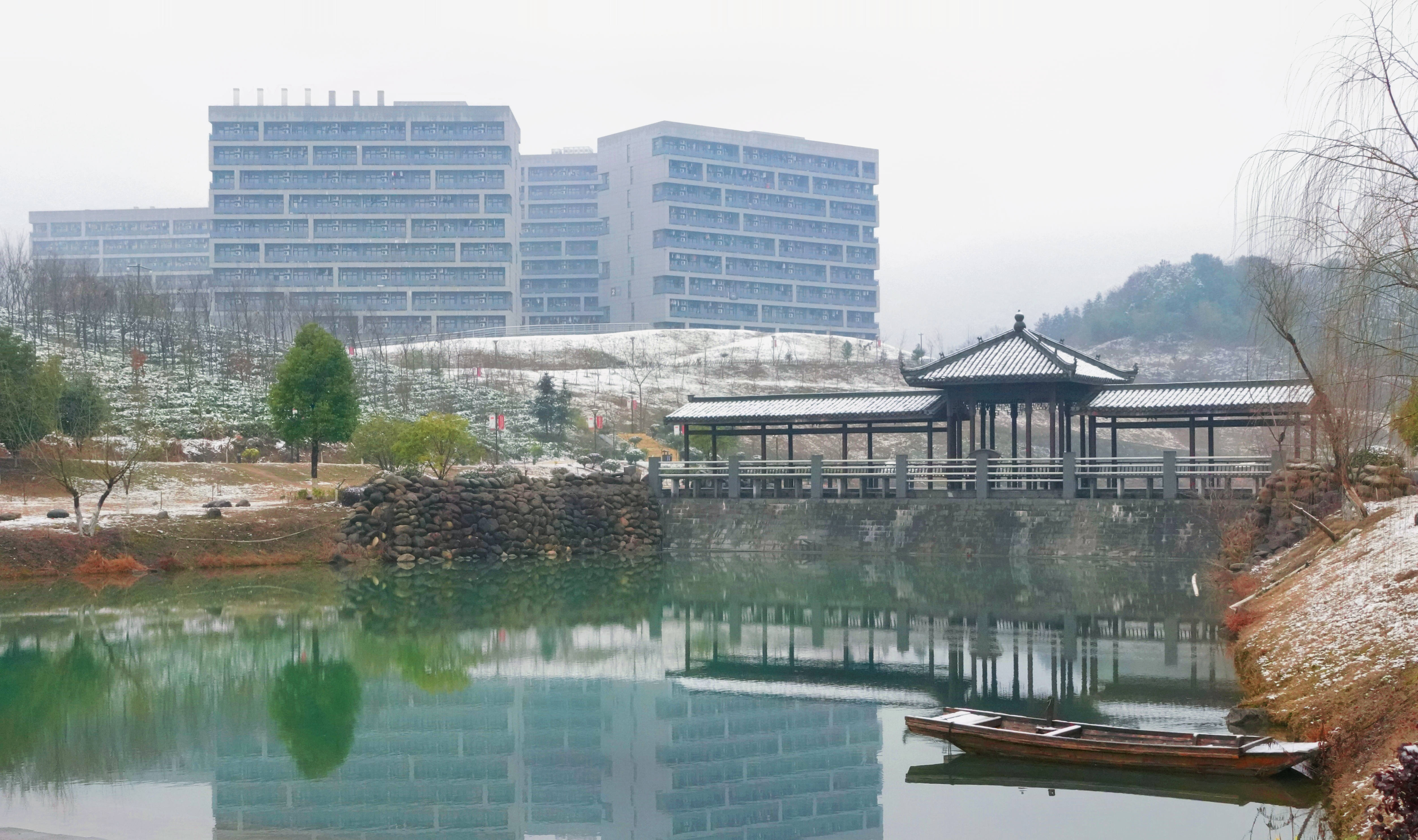 1648381727156377.jpg 1648381727156377.jpg