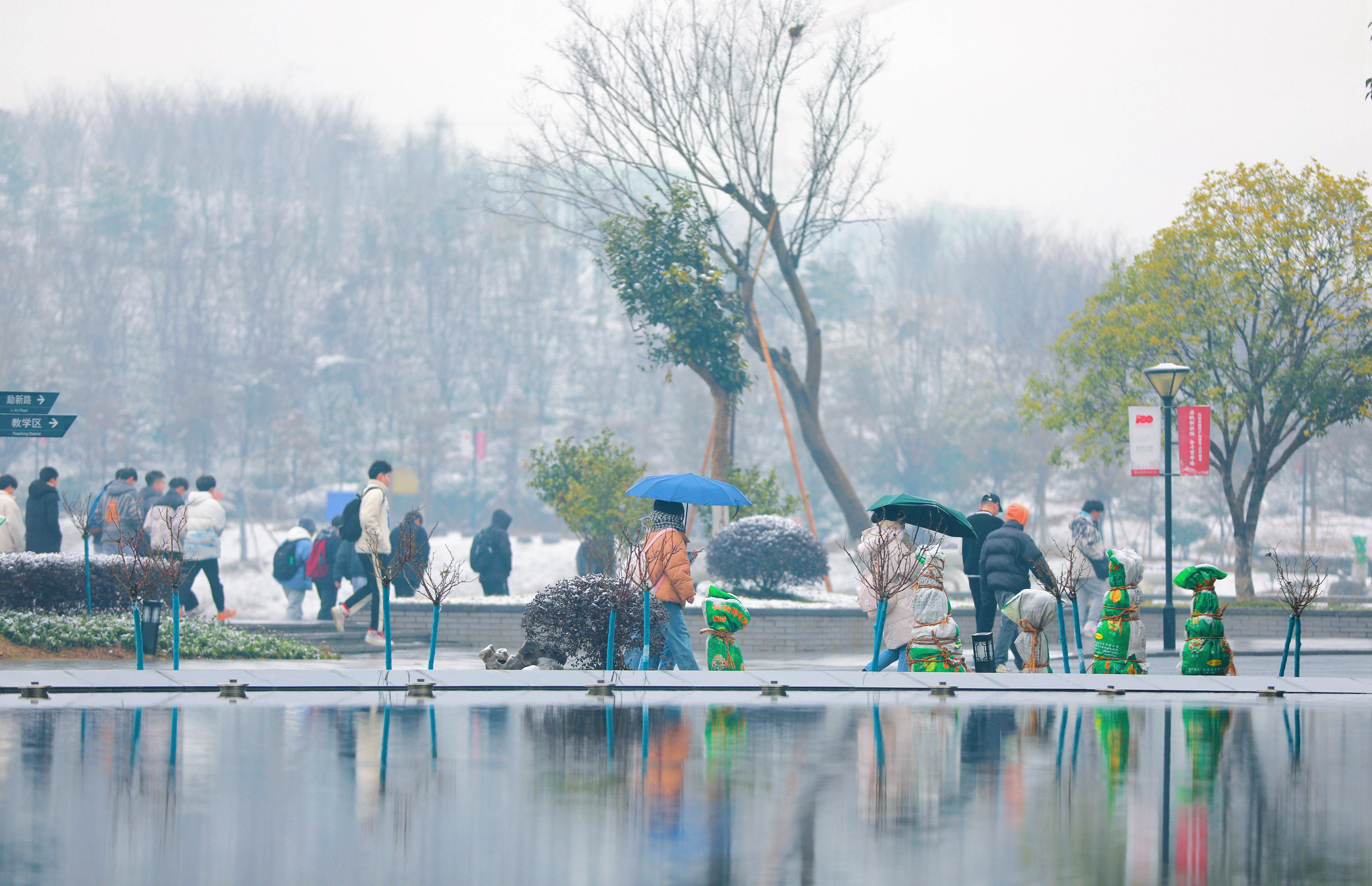 1648381848164318.jpg 1648381848164318.jpg