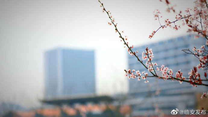 1615454273180013.jpg 1615454273180013.jpg