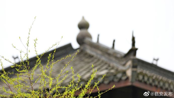 1615454339285979.jpg 1615454339285979.jpg