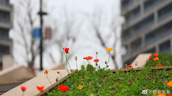 1615454297659867.jpg 1615454297659867.jpg