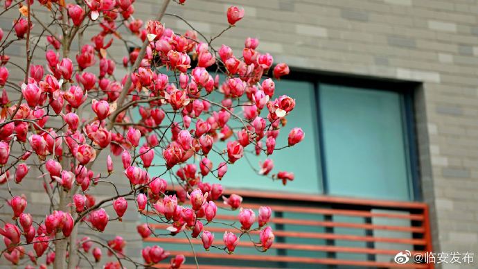 1615454216988451.jpg 1615454216988451.jpg