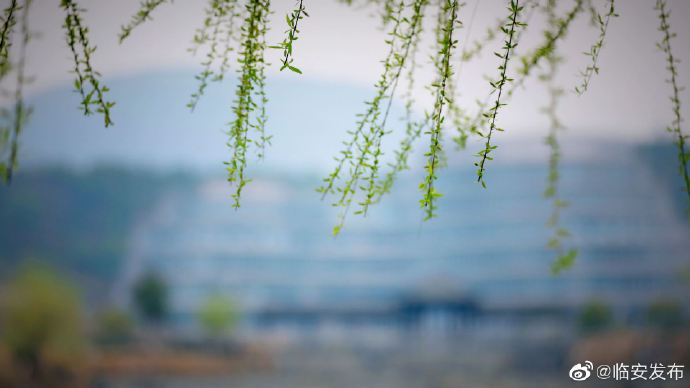 1615454320961872.jpg 1615454320961872.jpg