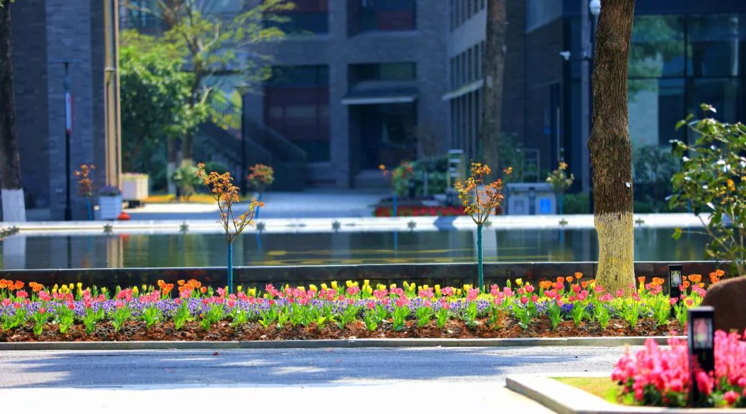 1648881386145902.jpg 1648881386145902.jpg